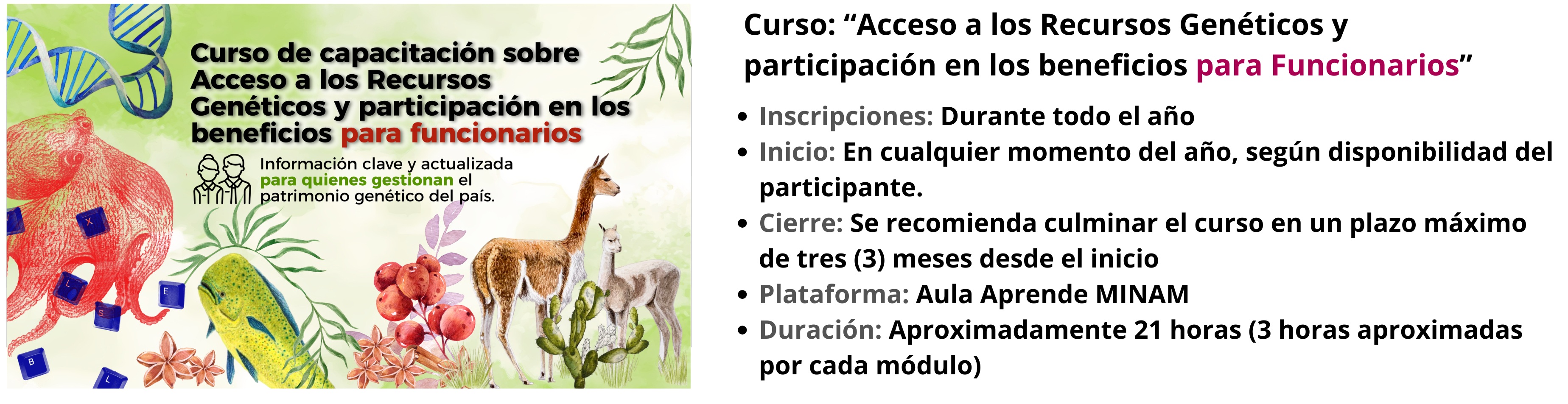 se indica el detalle de la descripción del curso